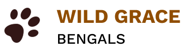Wild Grace Bengals